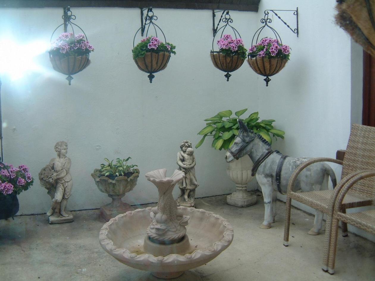 Manor House B And B Larne Zewnętrze zdjęcie